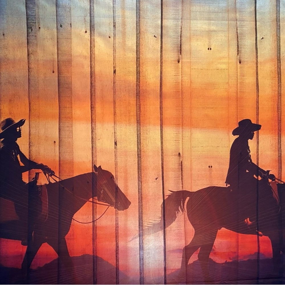 Sunset Cowboy vinyl background size 10x7 ft
